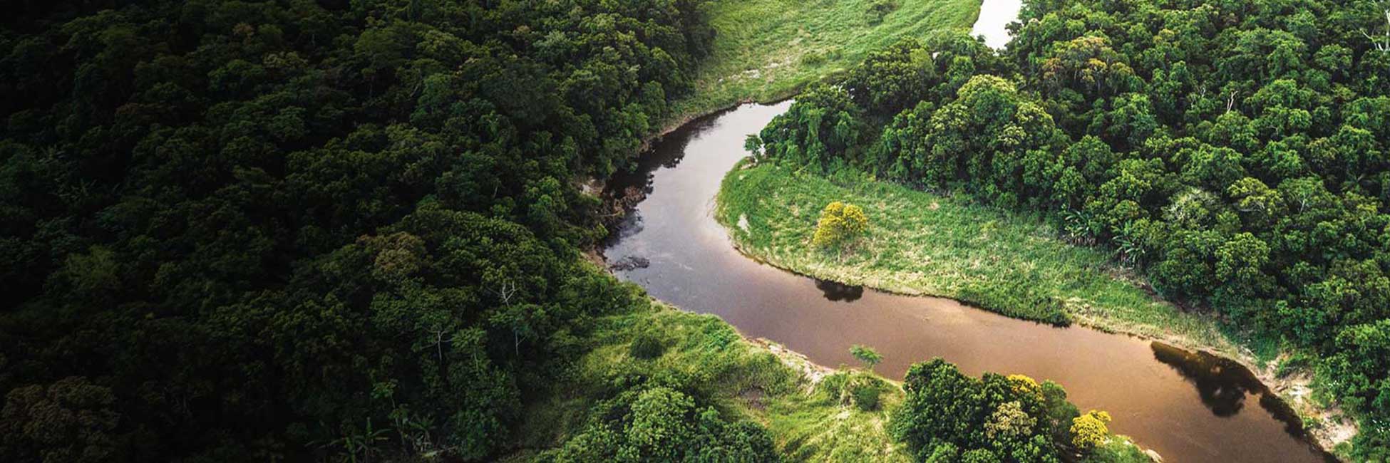 Aerial view of a curving river bordered by dense forest and grassy clearings
